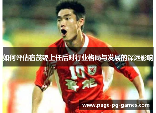 如何评估宿茂臻上任后对行业格局与发展的深远影响