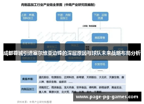 成都蓉城引进塞尔维亚边锋的深层原因与球队未来战略布局分析