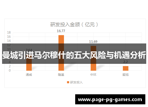 曼城引进马尔穆什的五大风险与机遇分析