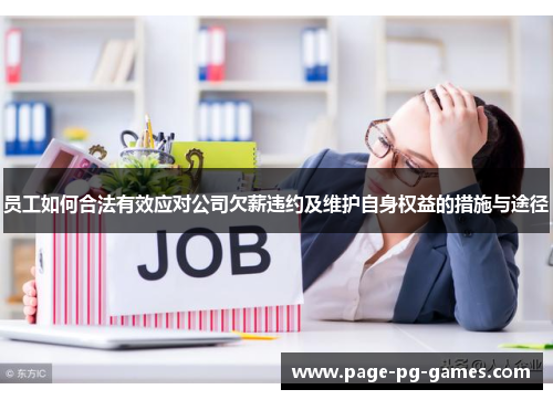 员工如何合法有效应对公司欠薪违约及维护自身权益的措施与途径