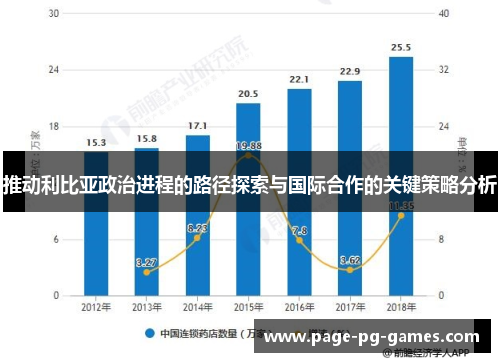 推动利比亚政治进程的路径探索与国际合作的关键策略分析