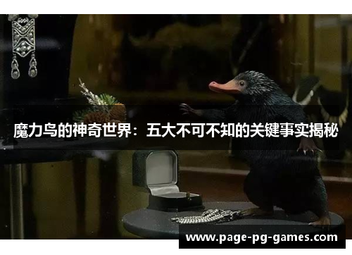 魔力鸟的神奇世界：五大不可不知的关键事实揭秘