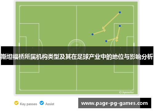 斯坦福桥所属机构类型及其在足球产业中的地位与影响分析 斯坦福桥所属机构类型及其在足球产业中的地位与影响分析
