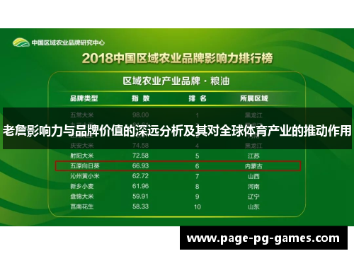 老詹影响力与品牌价值的深远分析及其对全球体育产业的推动作用