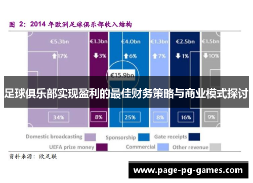 足球俱乐部实现盈利的最佳财务策略与商业模式探讨 足球俱乐部实现盈利的最佳财务策略与商业模式探讨